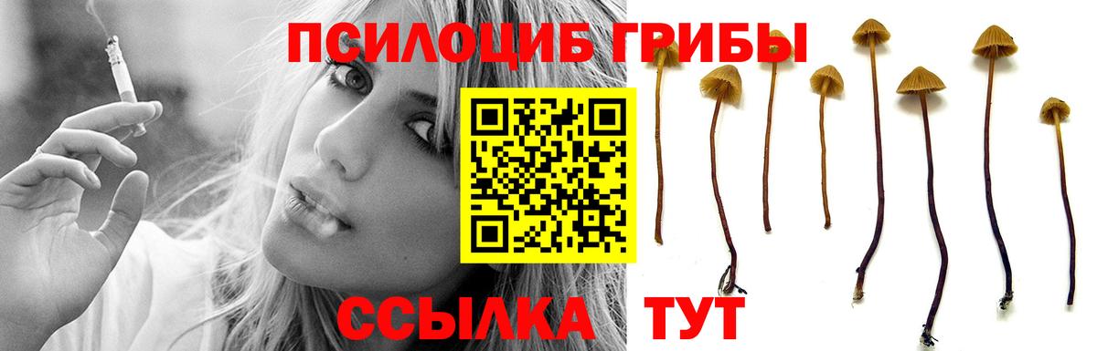 Галлюциногенные грибы Magic Shrooms Саянск
